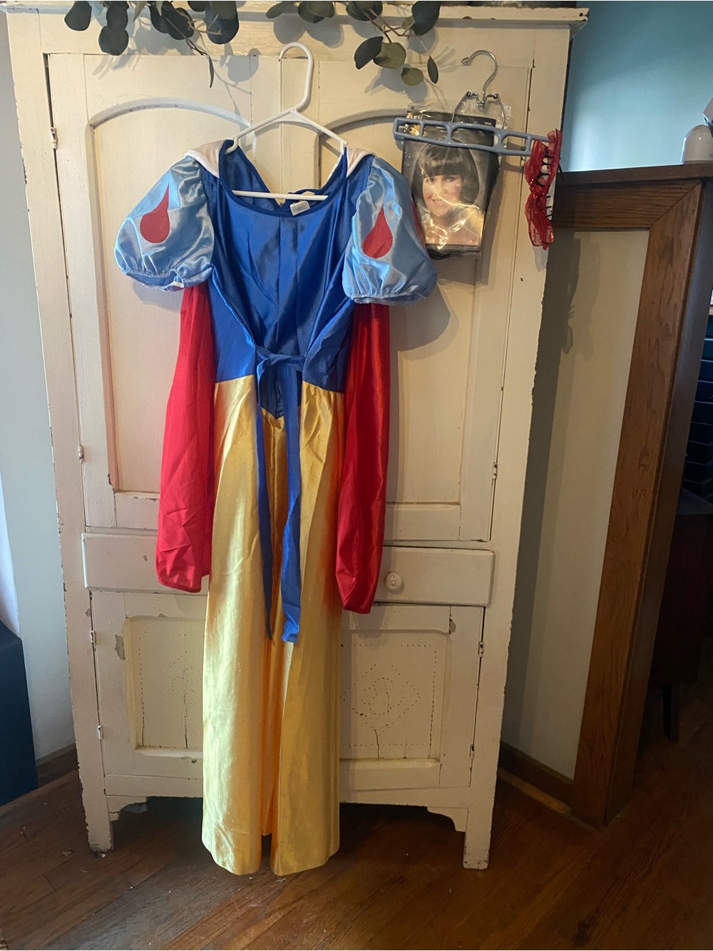 Disney Classic Princess Dress in Blue, Red, and Yellow